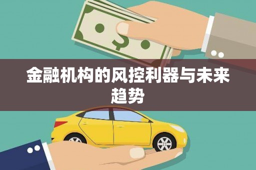 梁河金融机构的风控利器与未来趋势