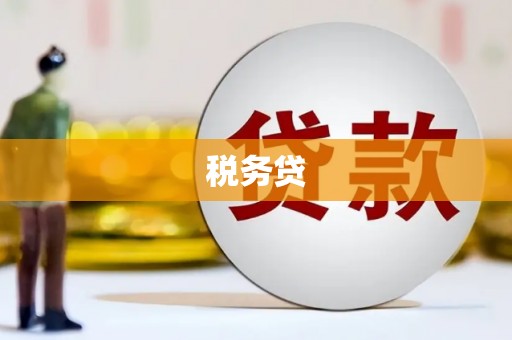 梁河税务贷