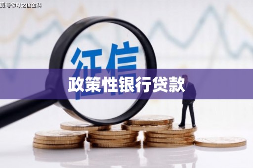 梁河政策性银行贷款