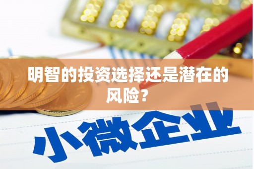 梁河明智的投资选择还是潜在的风险？