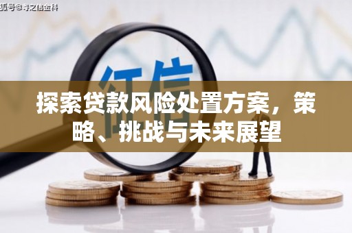 梁河探索贷款风险处置方案，策略、挑战与未来展望
