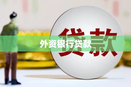 梁河外资银行贷款