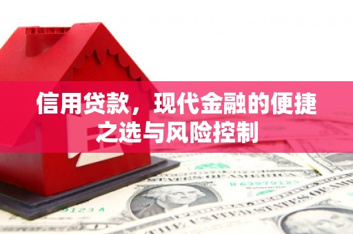 梁河信用贷款，现代金融的便捷之选与风险控制