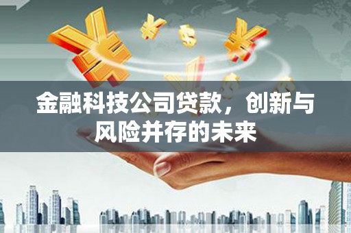 梁河金融科技公司贷款，创新与风险并存的未来