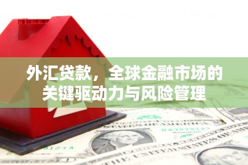 梁河外汇贷款，全球金融市场的关键驱动力与风险管理