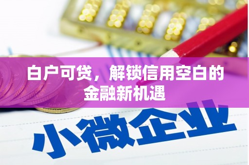 梁河白户可贷，解锁信用空白的金融新机遇