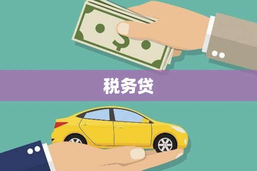 梁河税务贷