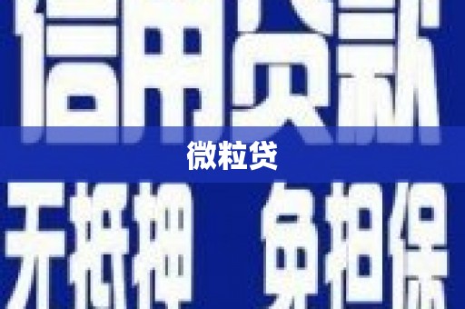 梁河微粒贷