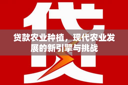 梁河贷款农业种植，现代农业发展的新引擎与挑战