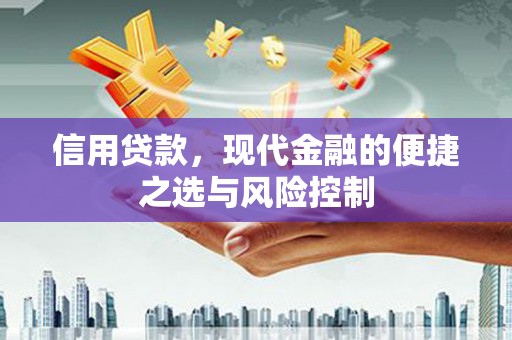 梁河信用贷款，现代金融的便捷之选与风险控制
