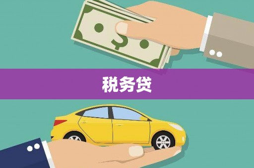 梁河税务贷
