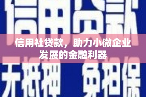 梁河信用社贷款，助力小微企业发展的金融利器