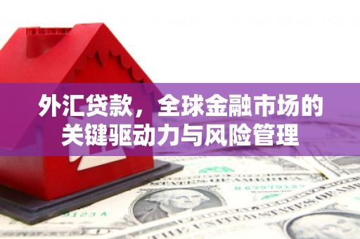 梁河外汇贷款，全球金融市场的关键驱动力与风险管理