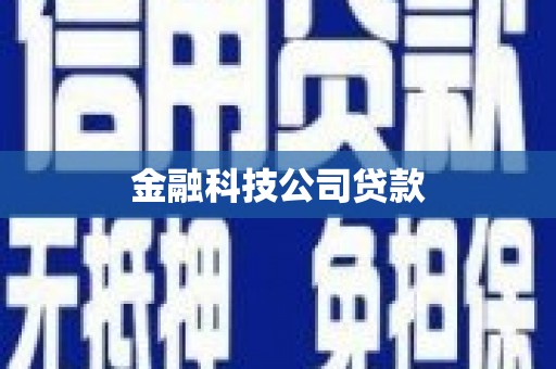梁河金融科技公司贷款