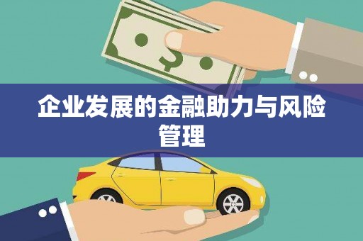 梁河企业发展的金融助力与风险管理