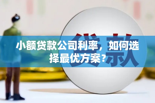 梁河小额贷款公司利率，如何选择最优方案？
