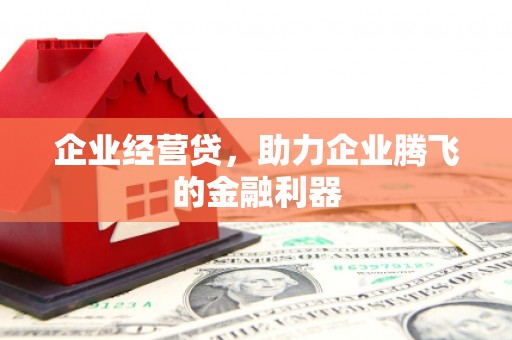 梁河企业经营贷，助力企业腾飞的金融利器