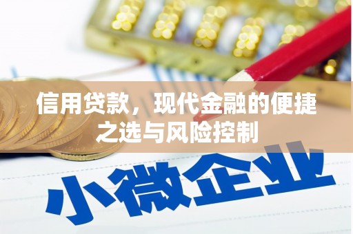 梁河信用贷款，现代金融的便捷之选与风险控制