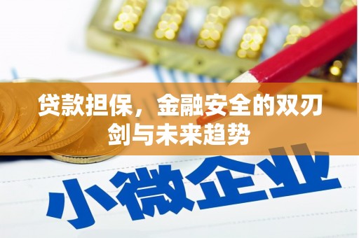梁河贷款担保，金融安全的双刃剑与未来趋势