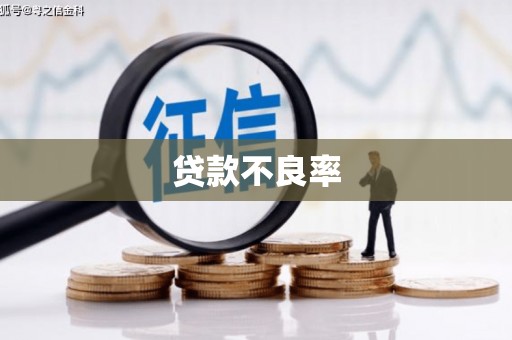梁河贷款不良率