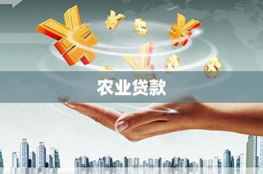 梁河农业贷款
