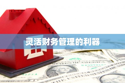 梁河灵活财务管理的利器