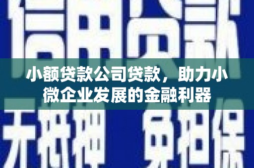 梁河小额贷款公司贷款，助力小微企业发展的金融利器