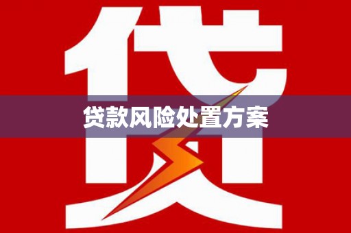 梁河贷款风险处置方案