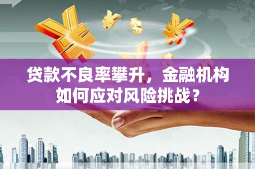 梁河贷款不良率攀升，金融机构如何应对风险挑战？
