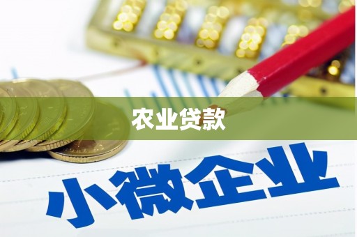 梁河农业贷款
