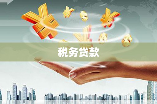 梁河税务贷款