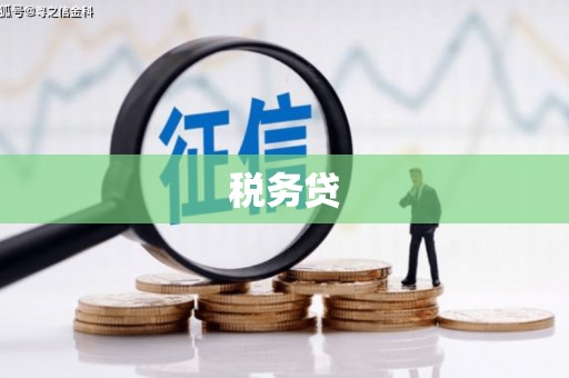 梁河税务贷