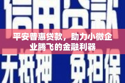 梁河平安普惠贷款，助力小微企业腾飞的金融利器