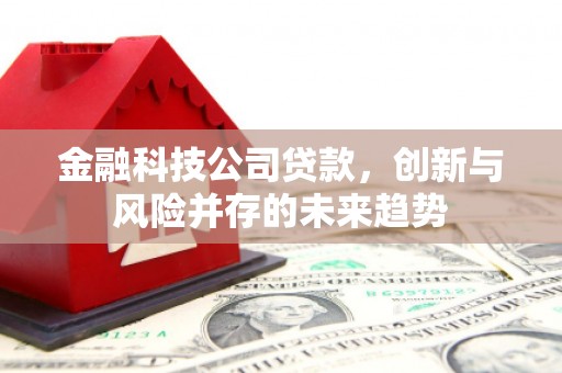梁河金融科技公司贷款，创新与风险并存的未来趋势