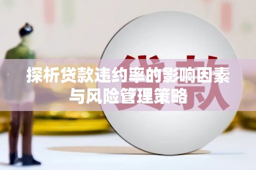梁河探析贷款违约率的影响因素与风险管理策略