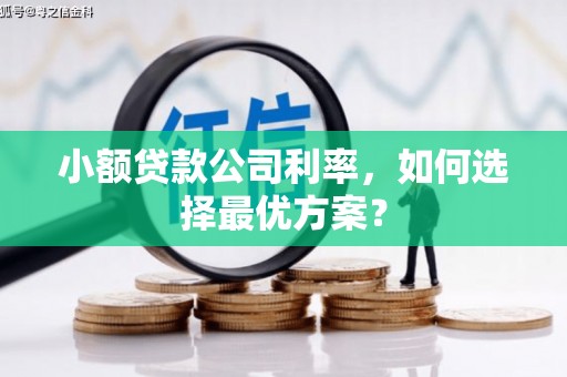 梁河小额贷款公司利率，如何选择最优方案？
