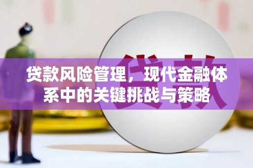 梁河贷款风险管理，现代金融体系中的关键挑战与策略
