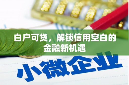梁河白户可贷，解锁信用空白的金融新机遇