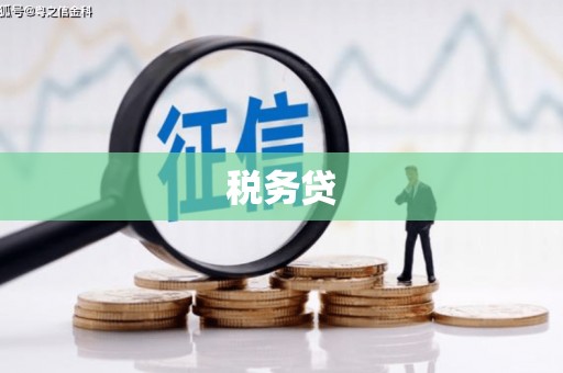 梁河税务贷