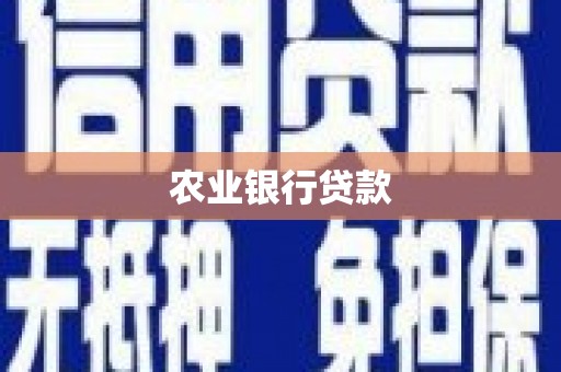 梁河农业银行贷款