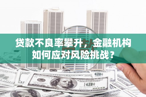 梁河贷款不良率攀升，金融机构如何应对风险挑战？