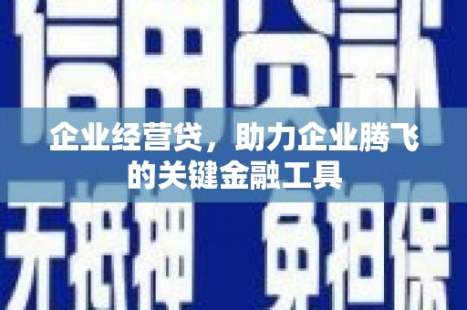 梁河企业经营贷，助力企业腾飞的关键金融工具
