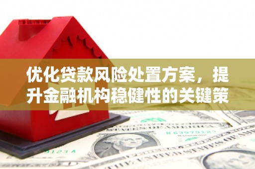 梁河优化贷款风险处置方案，提升金融机构稳健性的关键策略