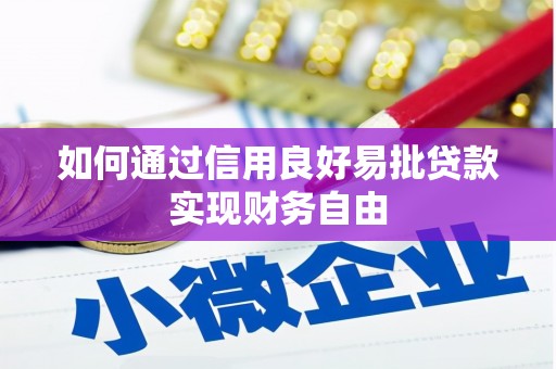梁河如何通过信用良好易批贷款实现财务自由