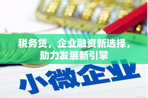 梁河税务贷，企业融资新选择，助力发展新引擎