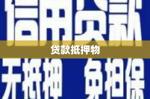梁河贷款抵押物