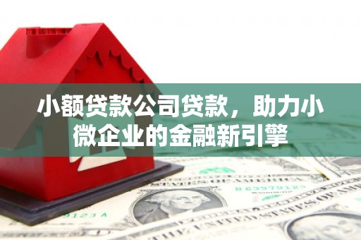 梁河小额贷款公司贷款，助力小微企业的金融新引擎