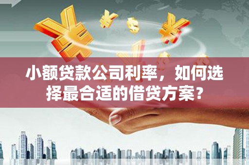 梁河小额贷款公司利率，如何选择最合适的借贷方案？