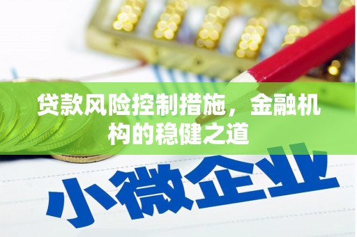 梁河贷款风险控制措施，金融机构的稳健之道