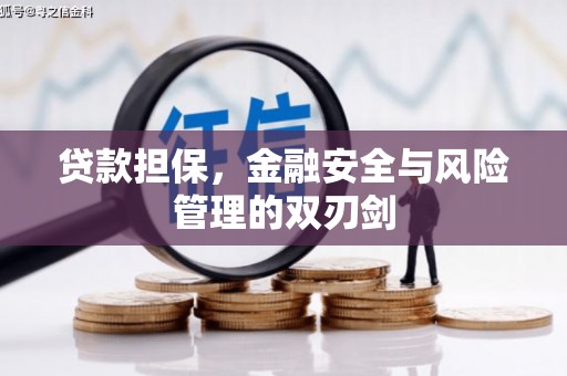 梁河贷款担保，金融安全与风险管理的双刃剑